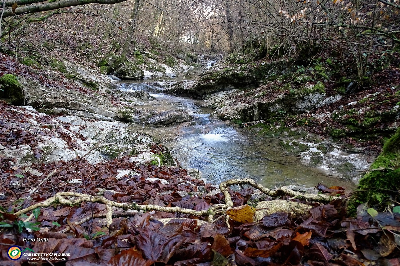 19 Il torrente forma belle cascatelle e pozze.JPG